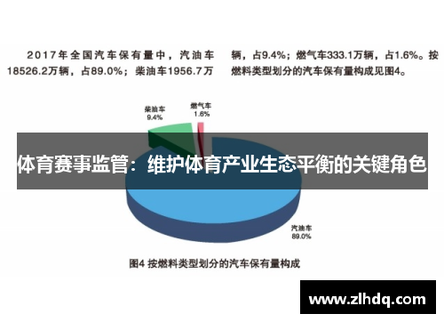 体育赛事监管：维护体育产业生态平衡的关键角色